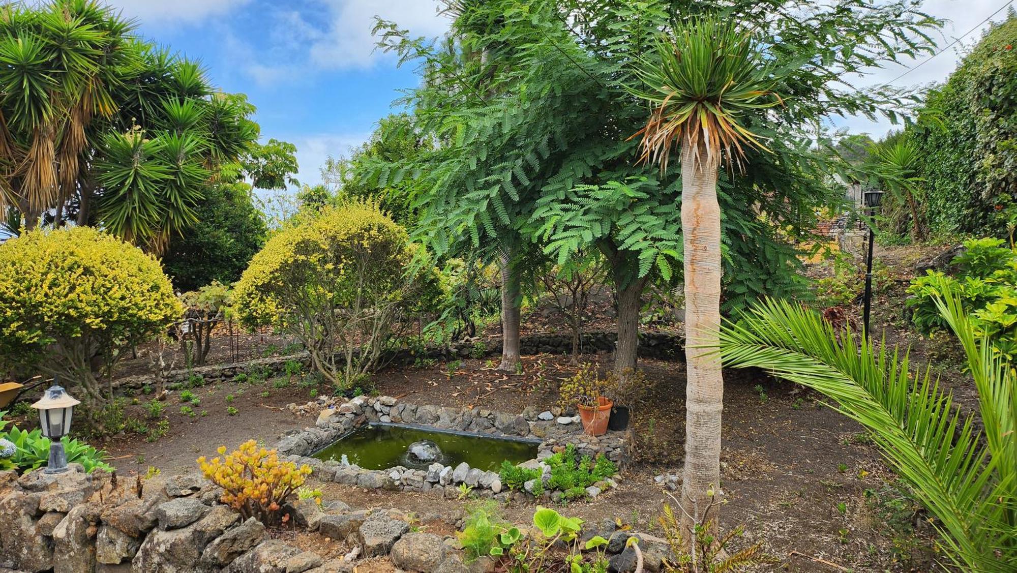 Вілла Oasis Hill Botanical Garden Ікод-де-лос-Вінос Екстер'єр фото