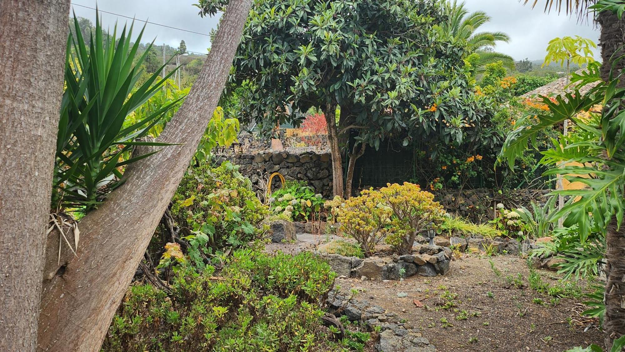 Вілла Oasis Hill Botanical Garden Ікод-де-лос-Вінос Екстер'єр фото