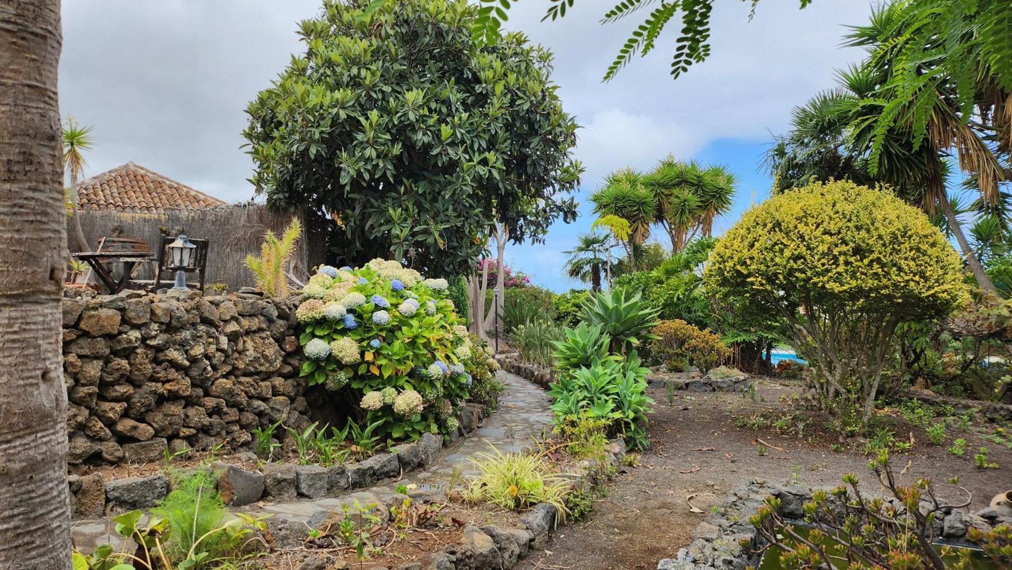Вілла Oasis Hill Botanical Garden Ікод-де-лос-Вінос Екстер'єр фото