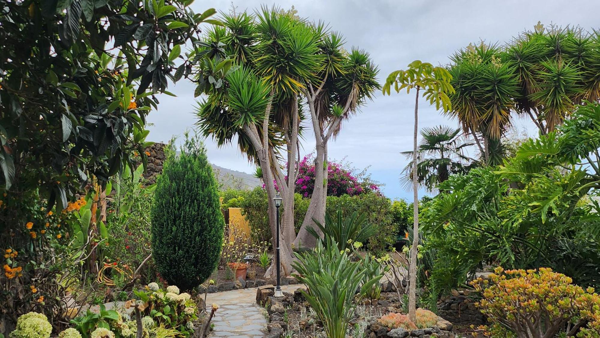 Вілла Oasis Hill Botanical Garden Ікод-де-лос-Вінос Екстер'єр фото