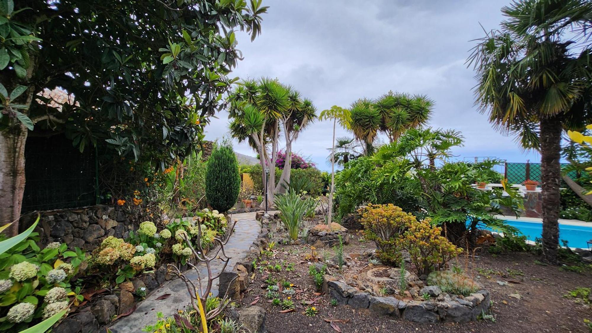 Вілла Oasis Hill Botanical Garden Ікод-де-лос-Вінос Екстер'єр фото