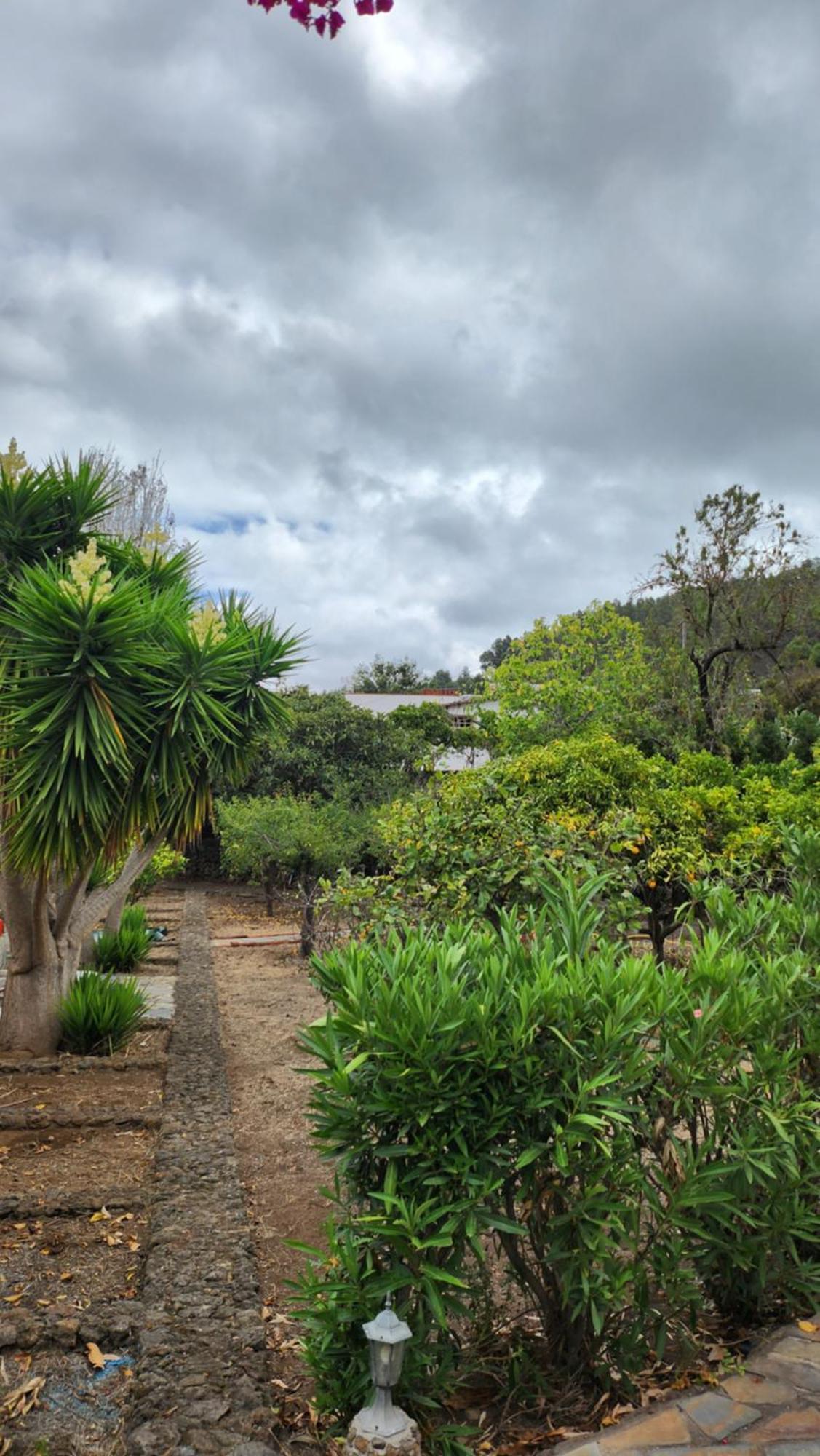 Вілла Oasis Hill Botanical Garden Ікод-де-лос-Вінос Екстер'єр фото